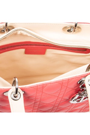 Large Bicolor Lady Dior Zip