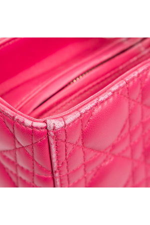 Large Lady Dior