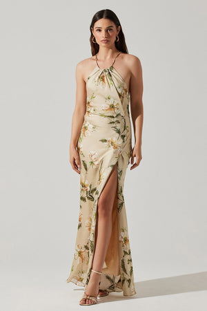 ASTR the Label Elynor Dress