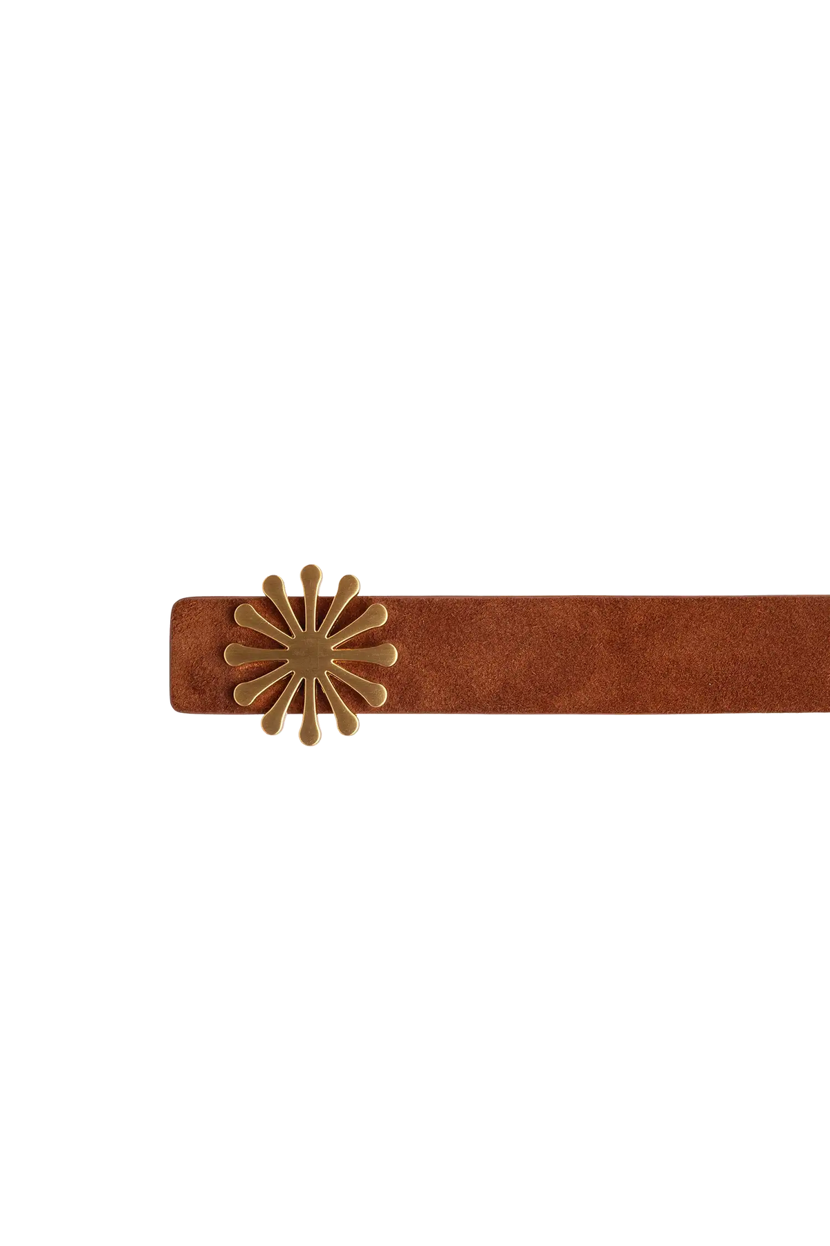 Ampm Suede Belt 25 G Caramel