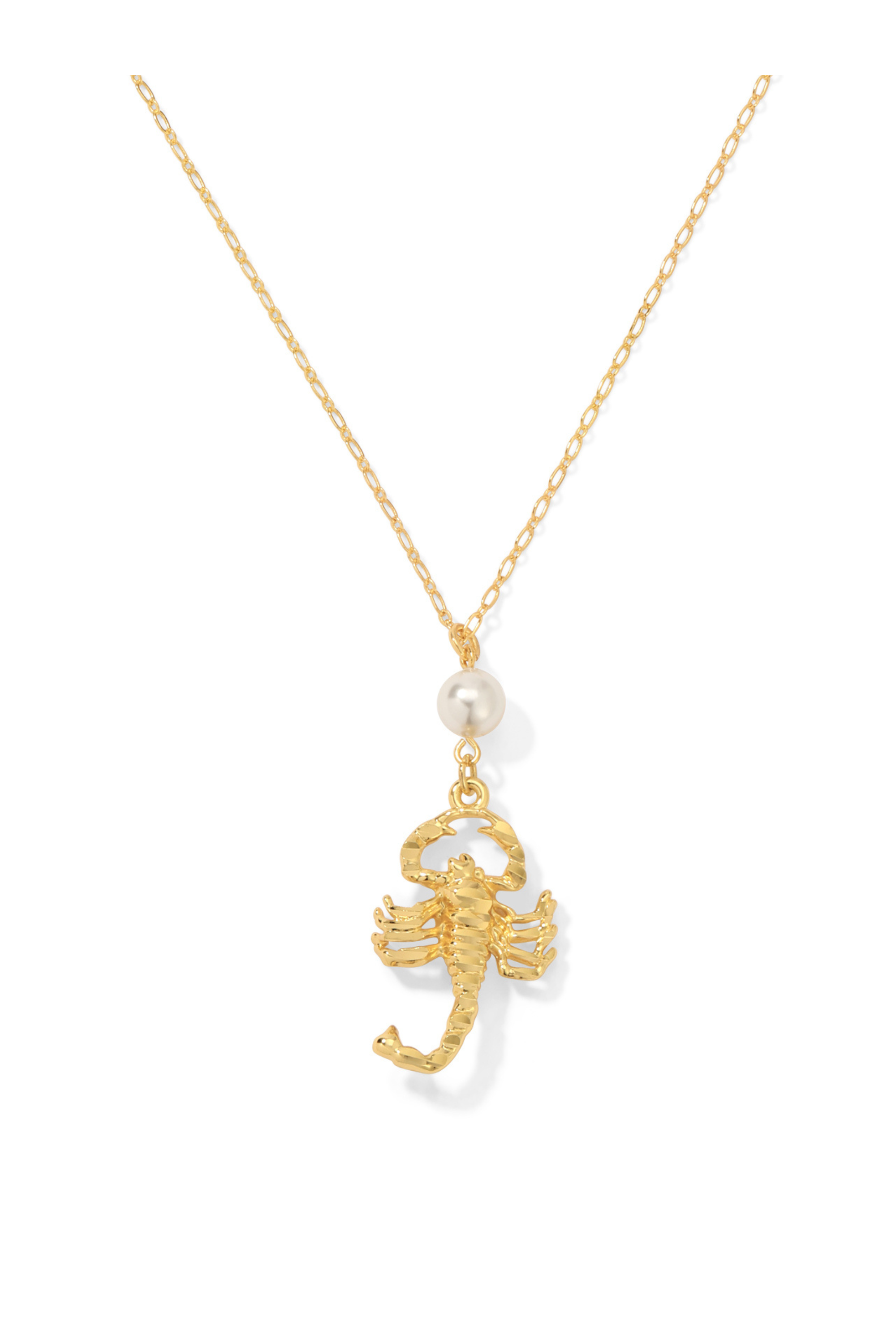 The Scorpion Necklace