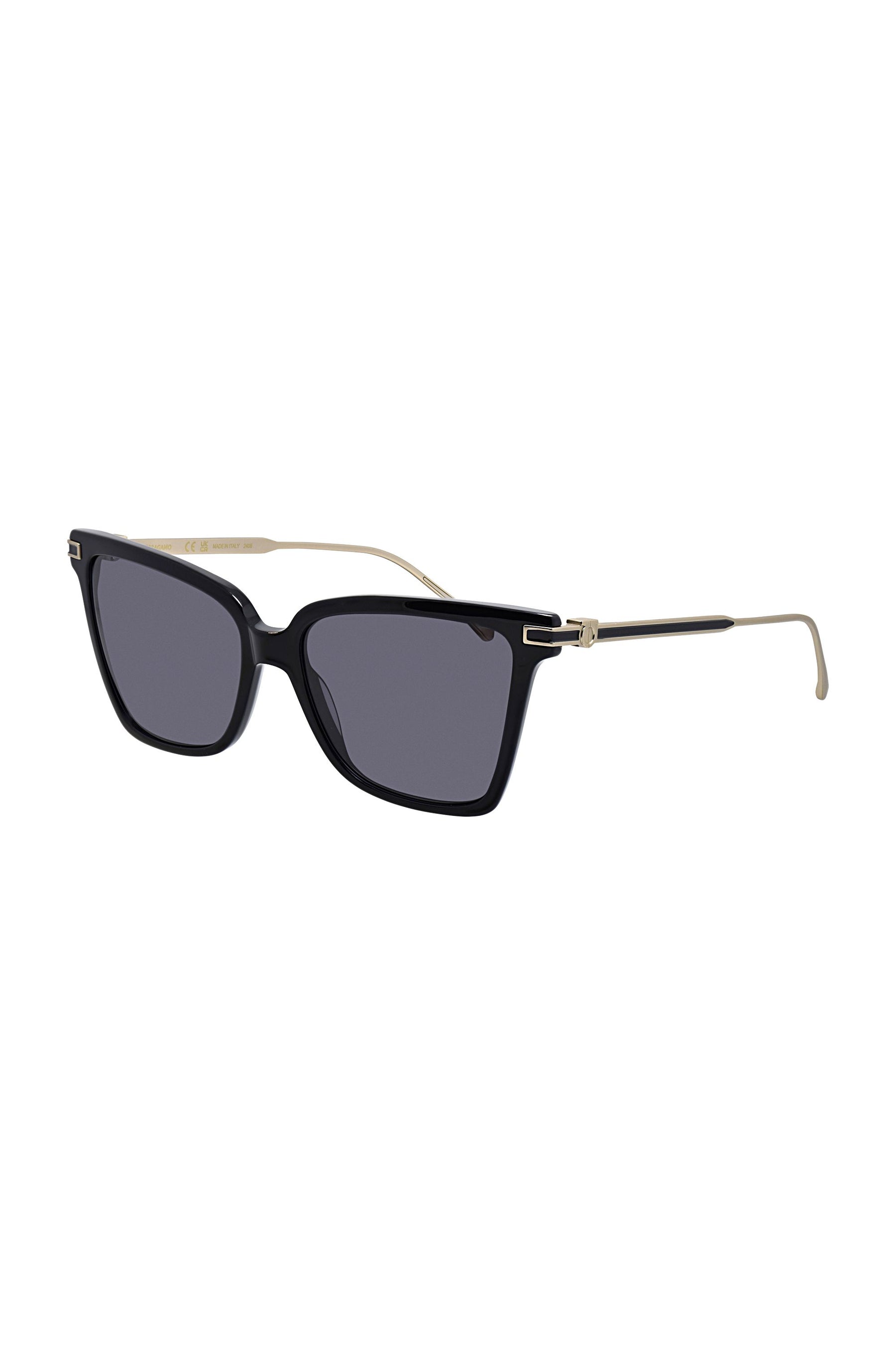 Salvatore Ferragamo | Sunglasses Sf_2036s_001_56mm