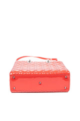 Large Lady Dior 