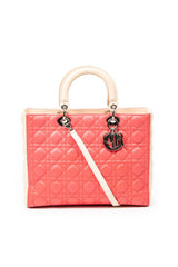 Large Bicolor Lady Dior Zip 