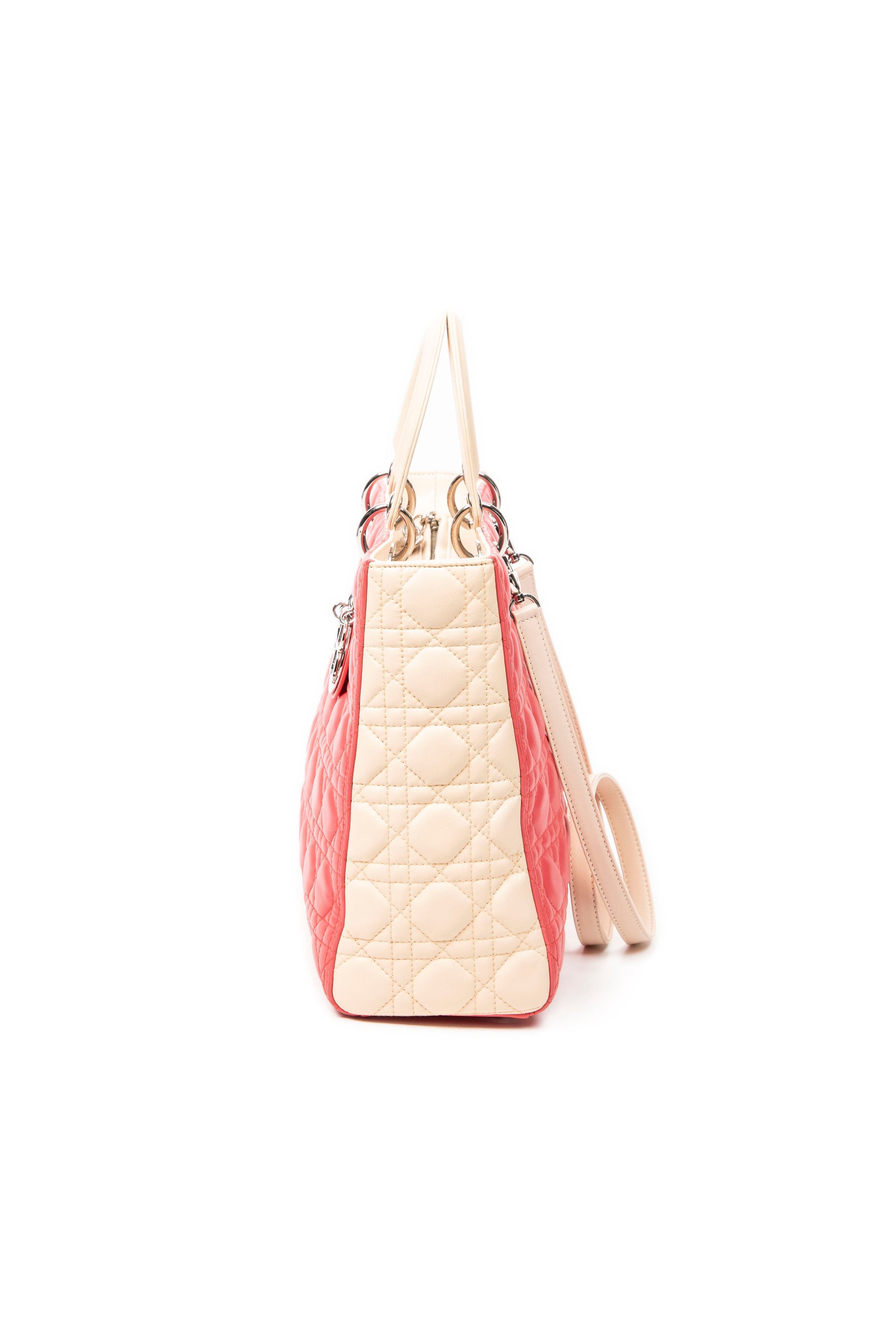 Large Bicolor Lady Dior Zip 