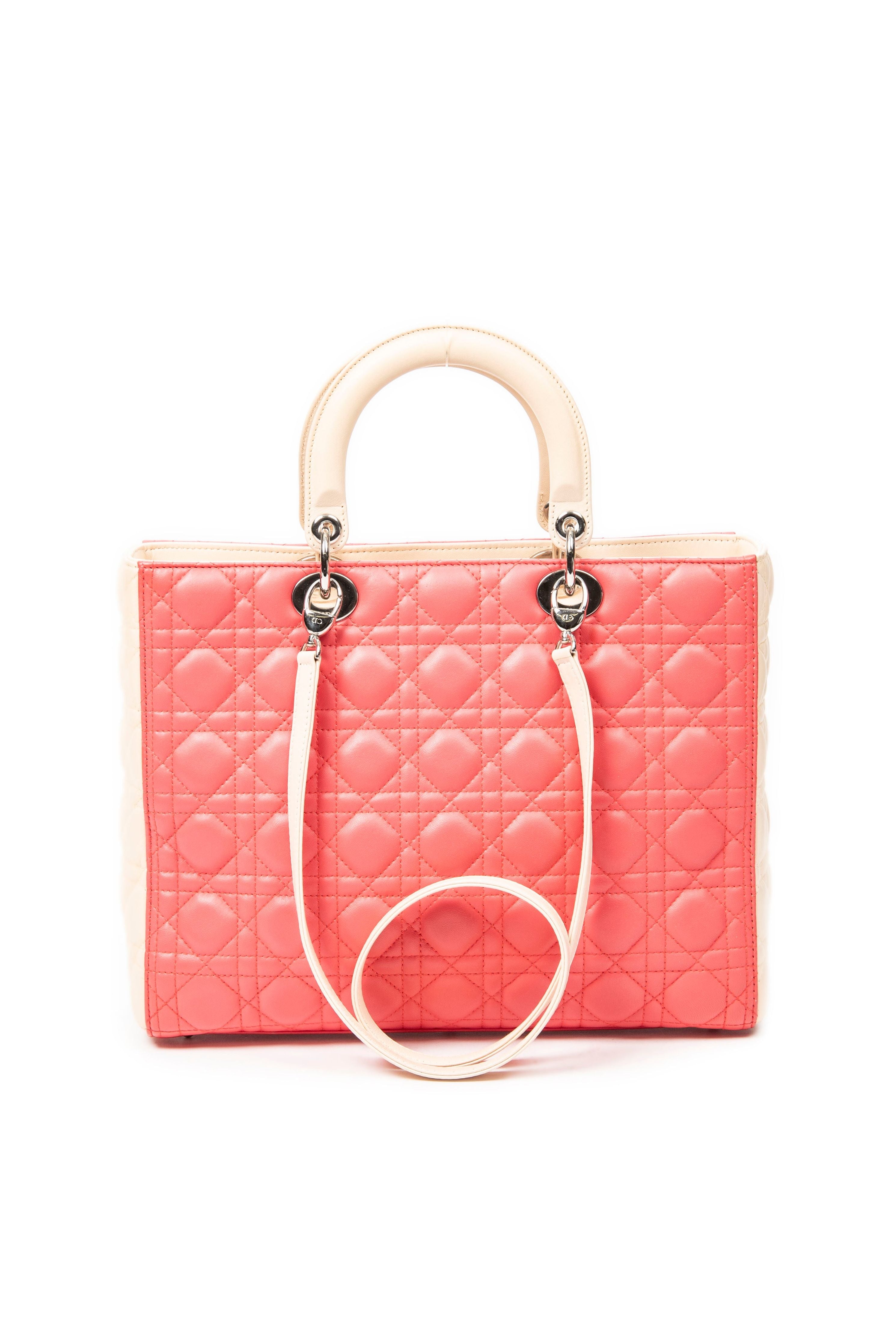 Large Bicolor Lady Dior Zip 