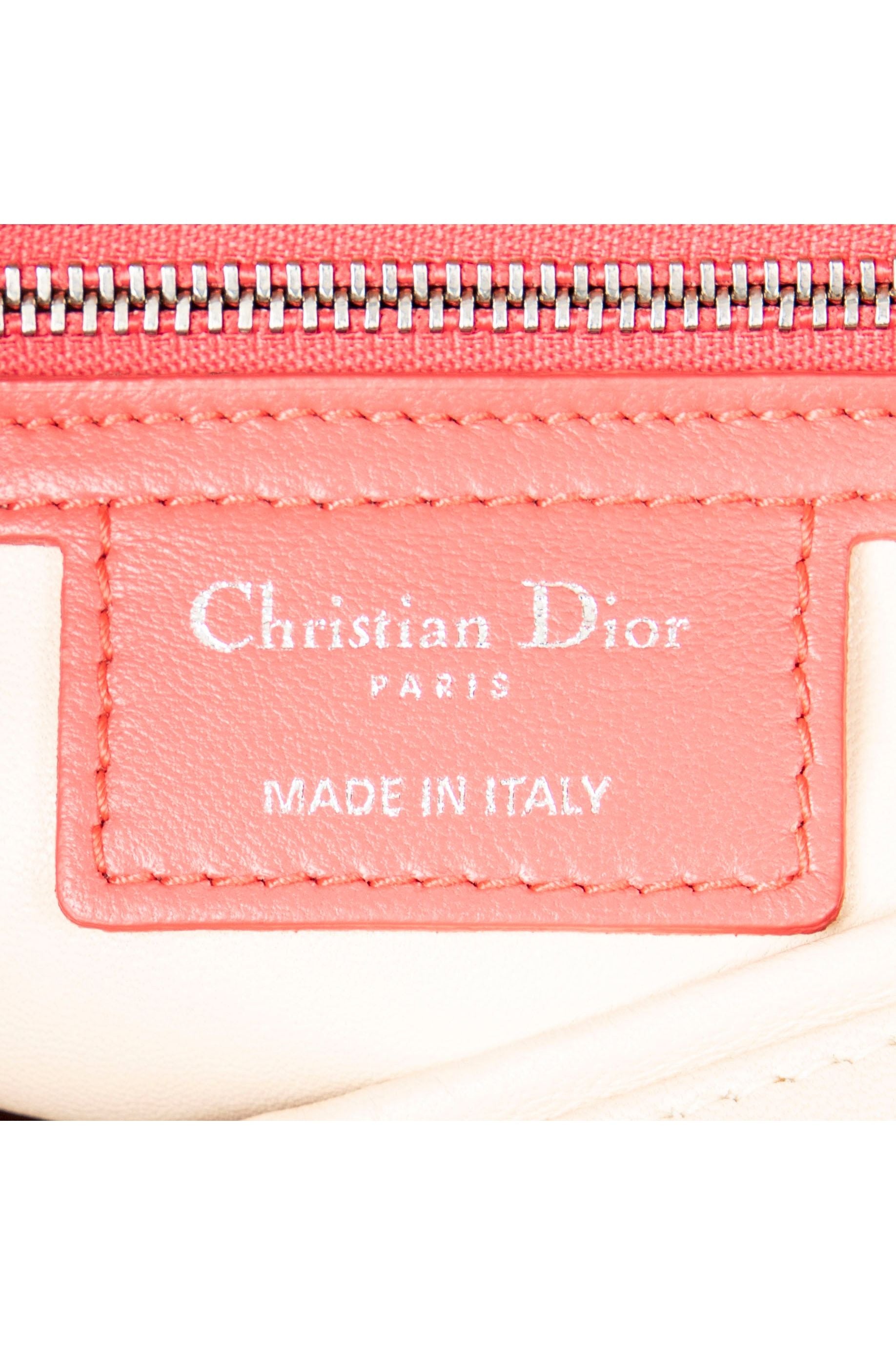 Large Bicolor Lady Dior Zip 