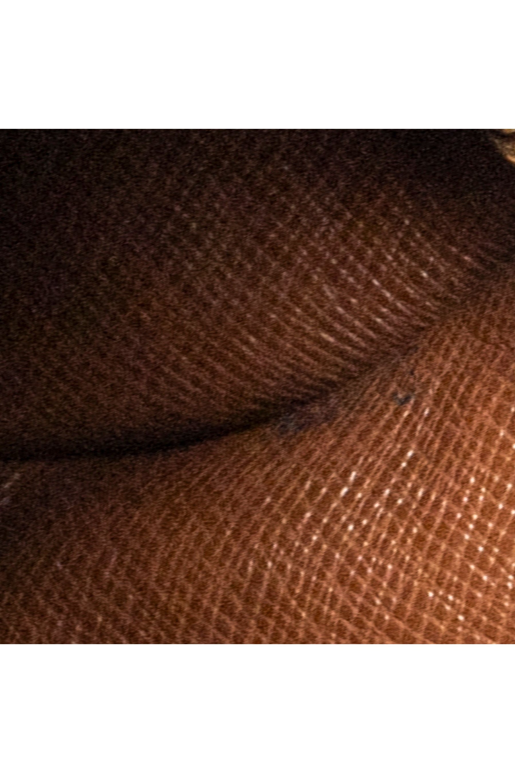Papillon 26