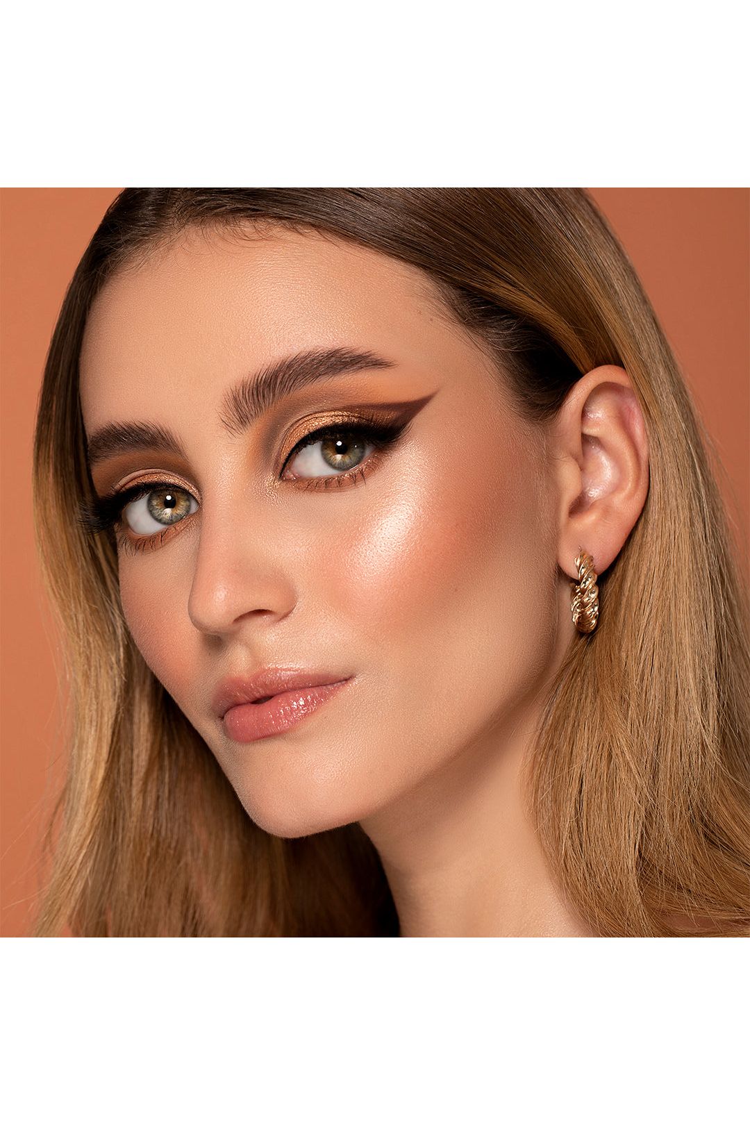 AMBIANCE EYESHADOW PALETTE MODEL