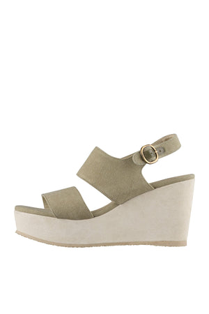 JAA-1