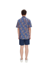IAA-3