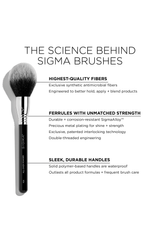 F24 All-Over Powder™ Brush