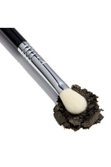 Must-Have Brush Set