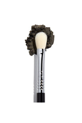 Must-Have Brush Set