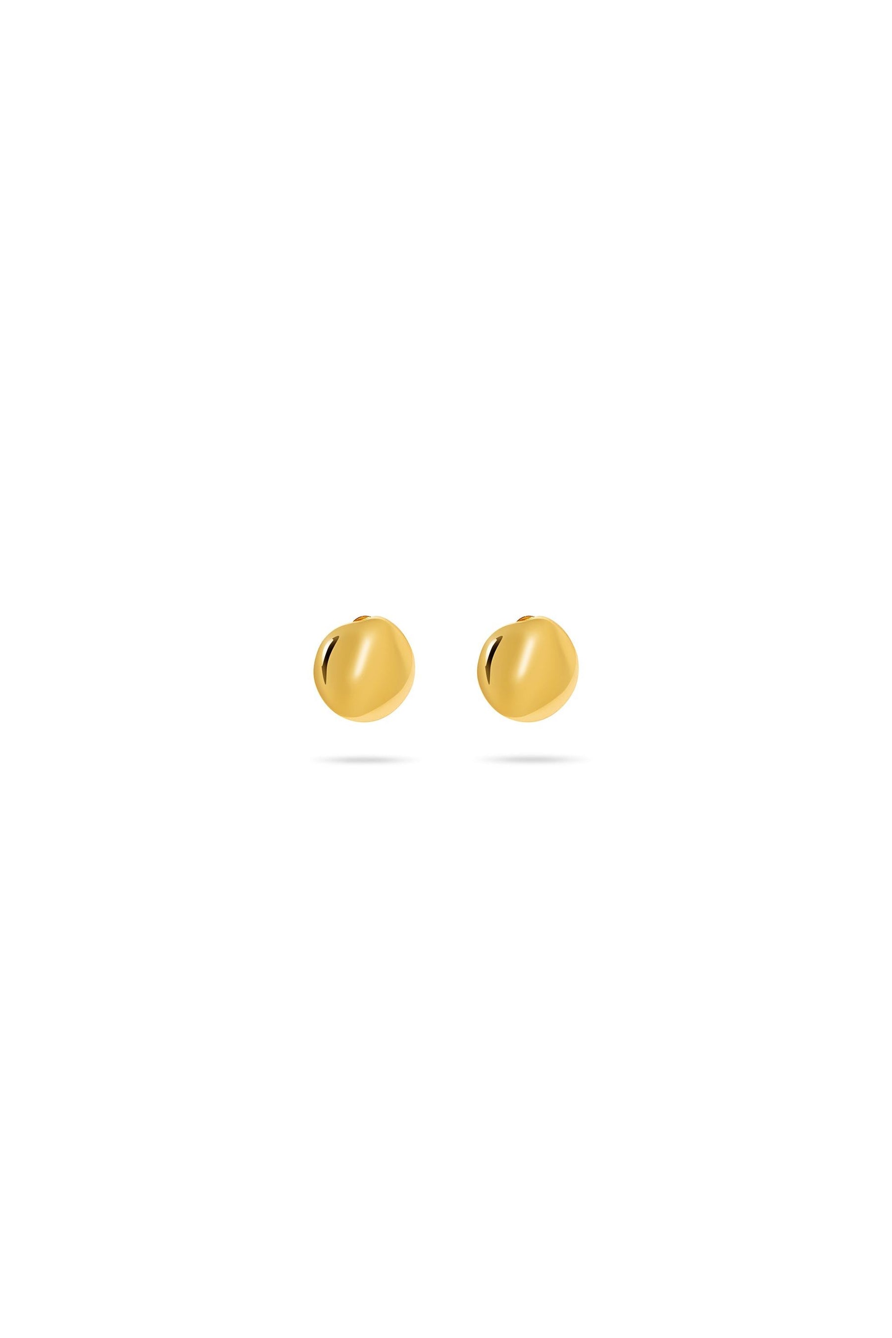 The Bean Stud | Gold