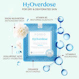 Ufo Masks H2overdose 2.0 X 6