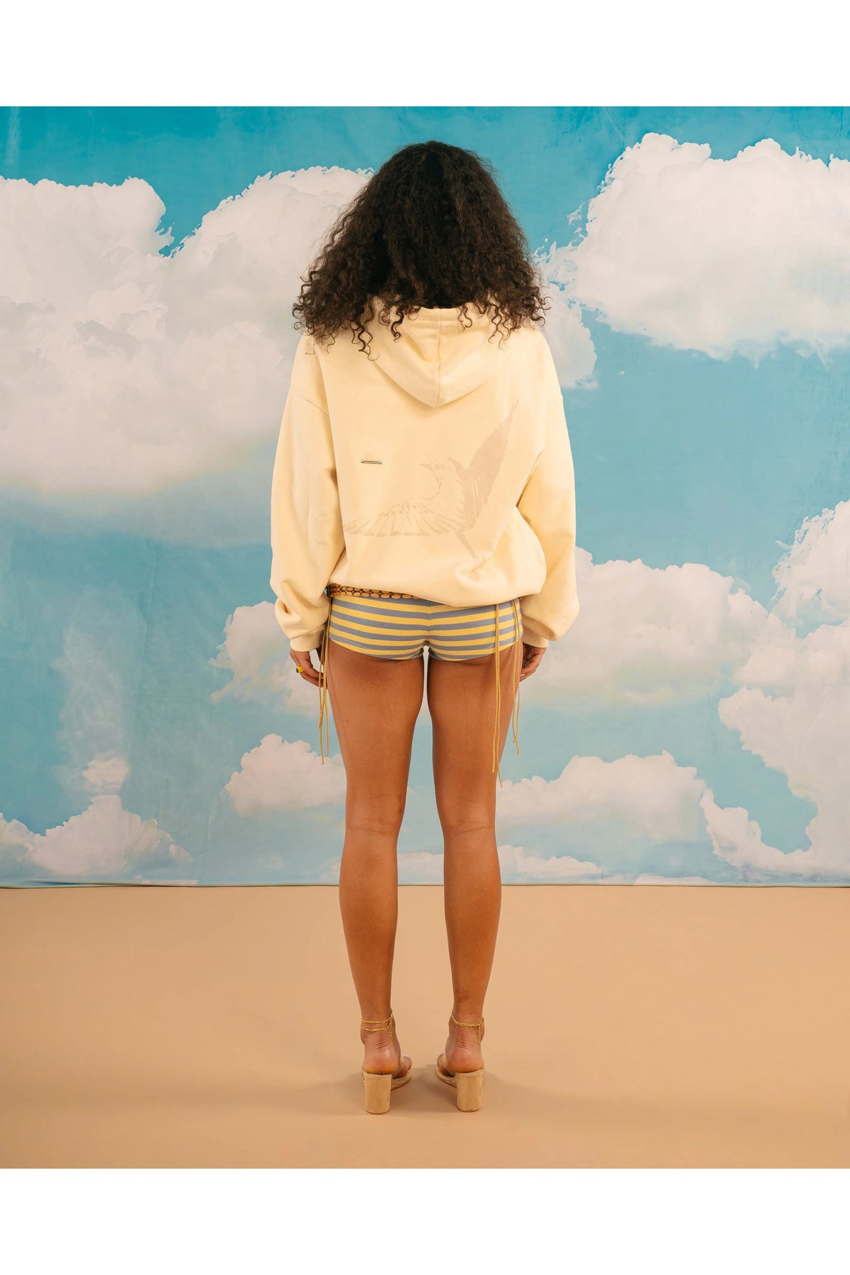 The Flight Hoodie For Your Soul