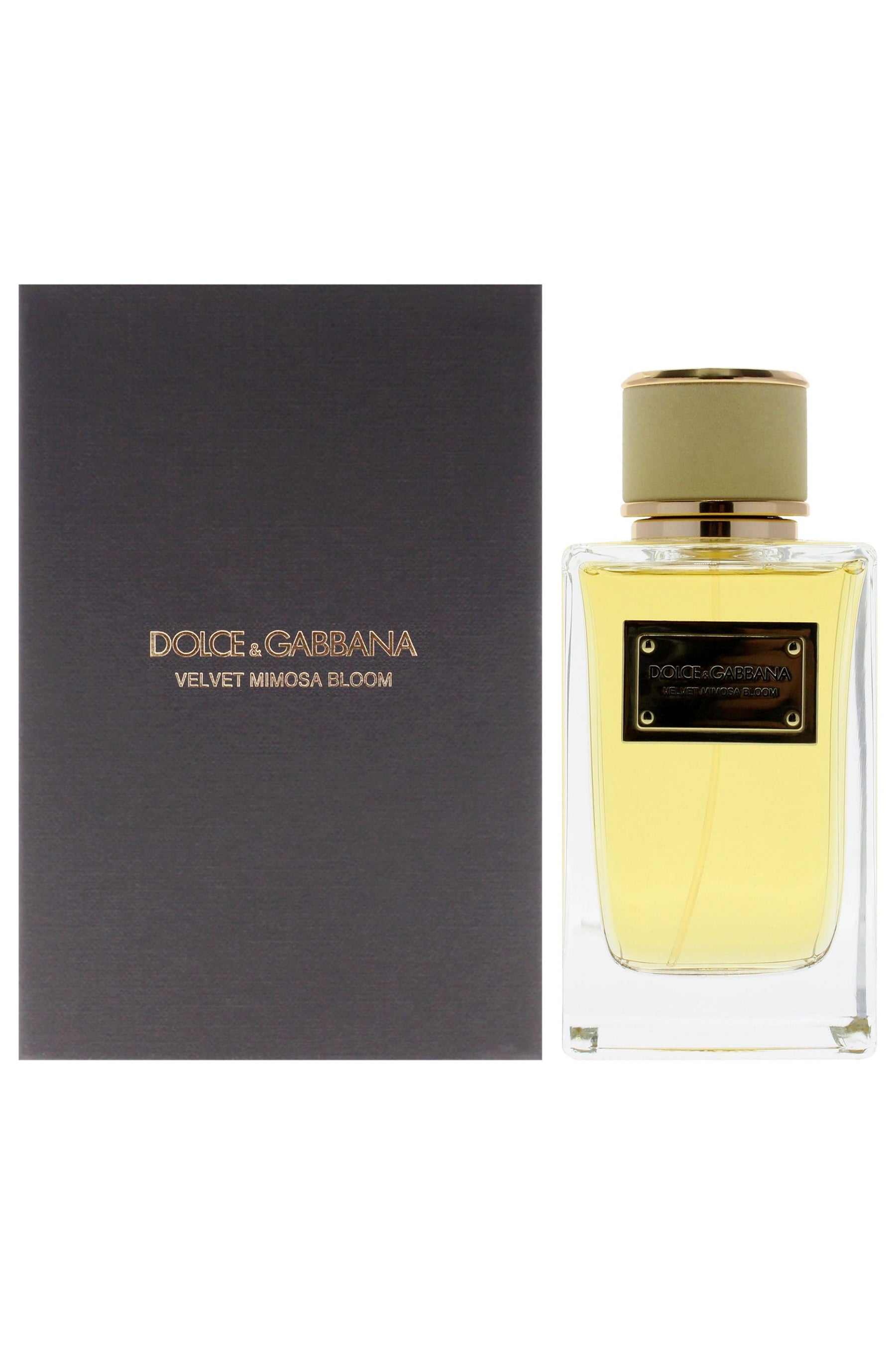 Velvet Mimosa Bloom by Dolce and Gabbana for Women - 5 oz EDP Spray