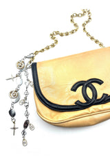The Bag Charm