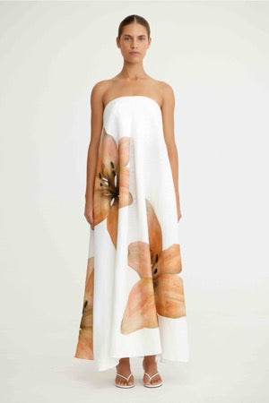 Parisa Maxi Dress Tigerlily