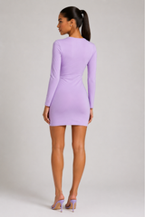 The Mesh Long Sleeve Dress
