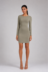 The Mesh Long Sleeve Dress