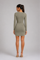The Mesh Long Sleeve Dress