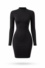 The Mock Neck Dress