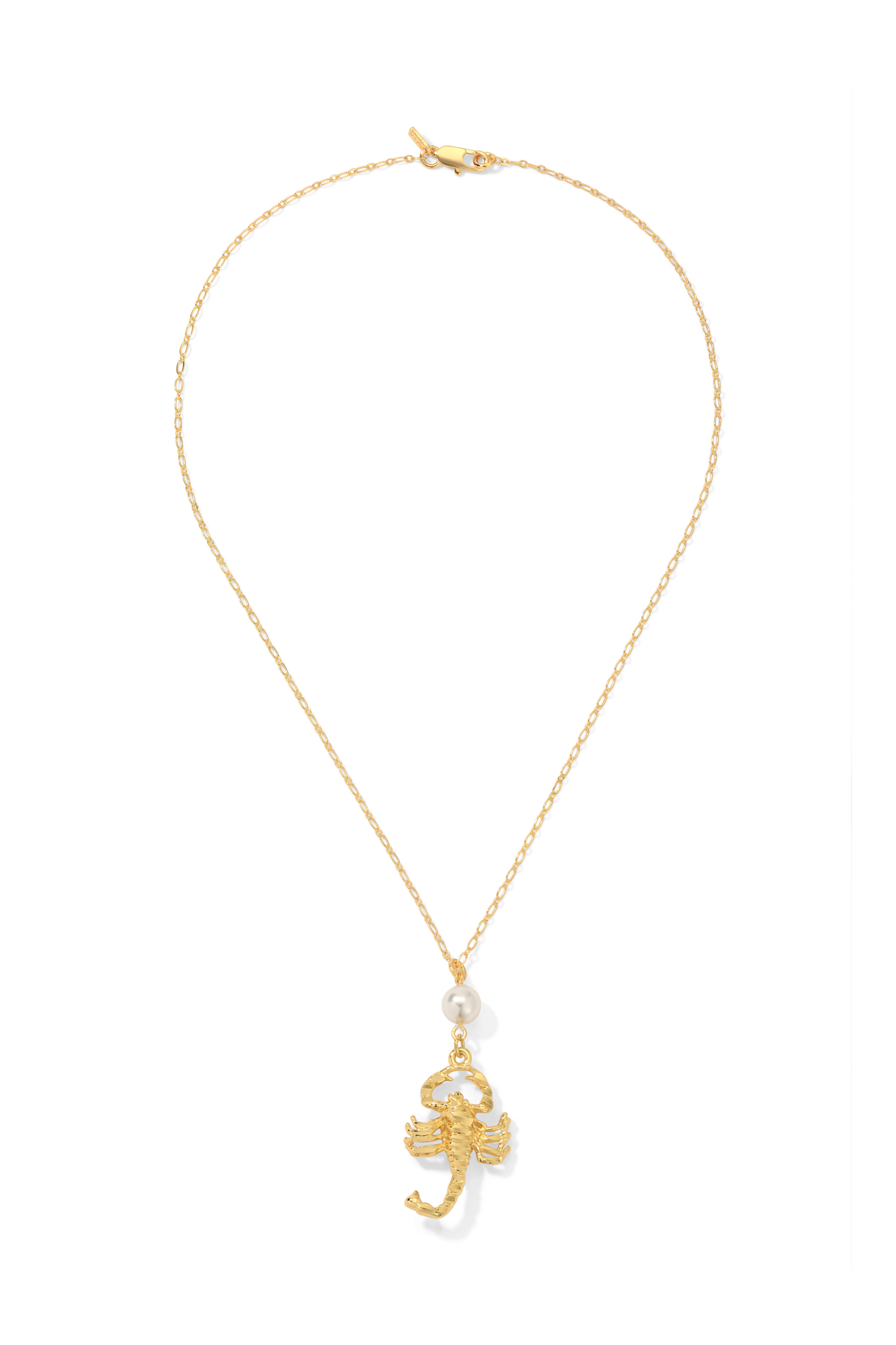 The Scorpion Necklace
