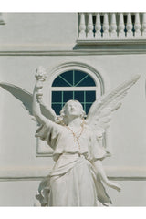 The Camelia Rosary
