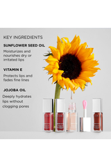 Renew Lip Oil Ingredients