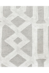 Rae Hand-Loomed Contemporary Trellis Gray Area Rug Gray