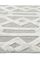 Rae Hand-Loomed Contemporary Trellis Gray Area Rug Gray