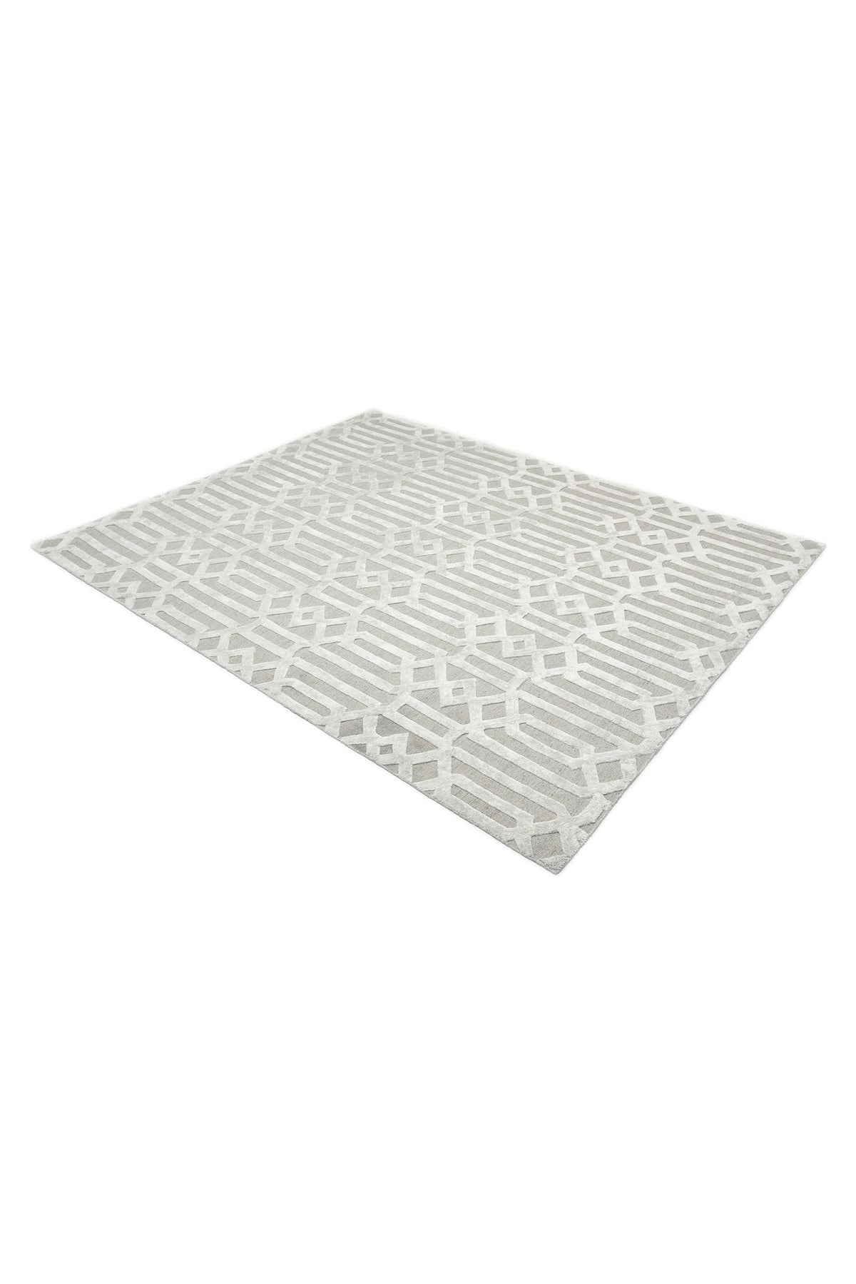 Rae Hand-Loomed Contemporary Trellis Gray Area Rug Gray