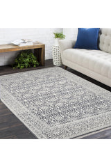 Yvonne Hand Knotted Contemporary Oriental Gray Area Rug Gray
