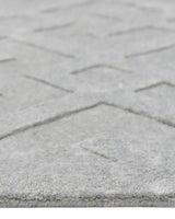 Arlo (indoor/outdoor) Hand-Loomed Contemporary Solid Light Gray Area Rug Light Gray