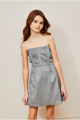 Roxi Silver Corset dress
