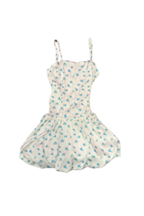 Bailey White With Pastel Blue Ditsy Satin Ballet Dress
